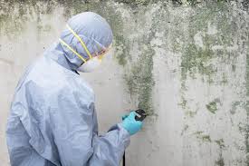 Best Mold Removal for HVAC Installations  in Grove City, PA